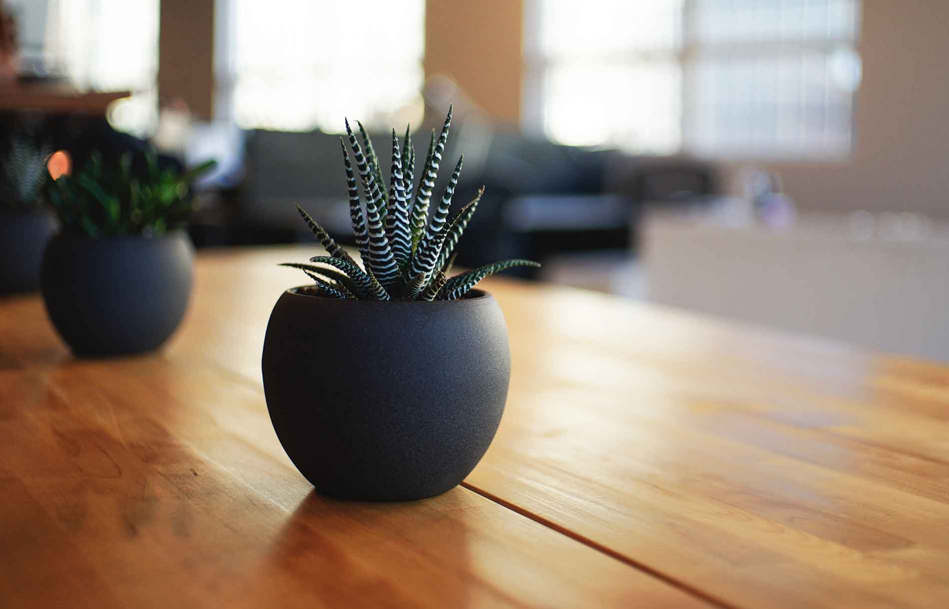 How AI Technology Is Transforming Coaching Business Operations